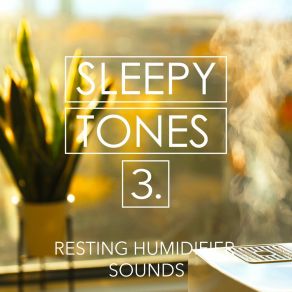 Sleepy Tones: Resting Humidifier Sounds 3 album cover