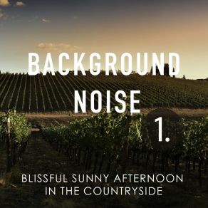 Background Noise: Blissful Sunny Afternoon In The Countryside album cover