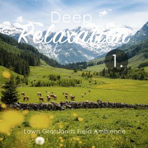 Deep Relaxation: Lawn Grasslands Field Ambience album cover
