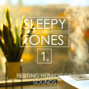 Sleepy Tones: Resting Humidifier Sounds album cover