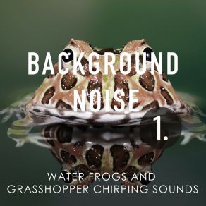 Background Noise: Water Frogs And Grasshopper Chirping Sounds album cover