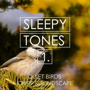 Sleepy Tones: Quiet Birds Chirp Soundscape album cover