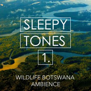 Sleepy Tones: Wildlife Botswana Ambience album cover
