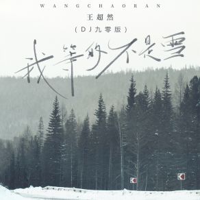 我等的不是雪 (DJ九零版) album cover