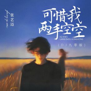 可惜我两手空空 (DJ九零版) album cover