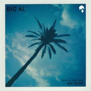 Say To Me album cover
