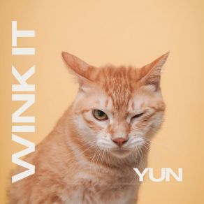 Wink It album cover
