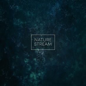 Nature Stream album cover