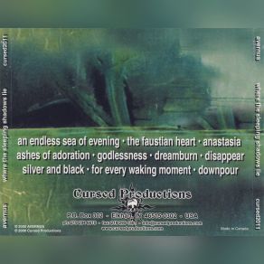 Where The Sleeping Shadows Lie (Compilation) album cover
