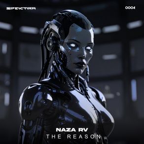 The Reason album cover