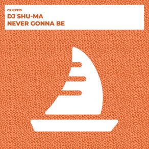 Never Gonna Be album cover