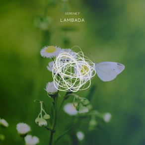 Lambada album cover