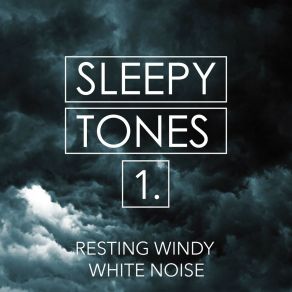 Sleepy Tones: Resting Windy White Noise album cover