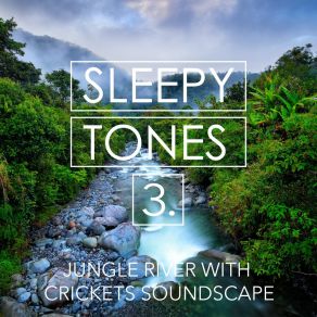 Sleepy Tones: Jungle River With Crickets Soundscape 3 album cover