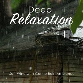 Deep Relaxation: Soft Wind With Gentle Rain Ambience album cover
