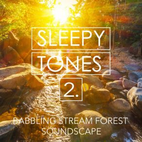 Sleepy Tones: Babbling Stream Forest Soundscape 2 album cover