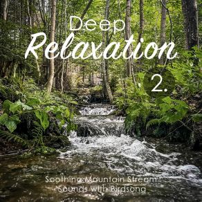 Deep Relaxation: Soothing Mountain Stream Sounds With Birdsong 2 album cover