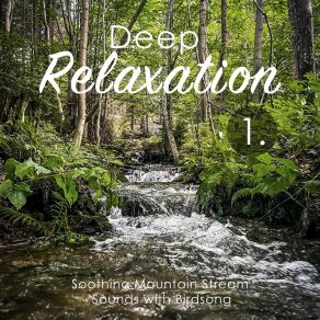 Deep Relaxation: Soothing Mountain Stream Sounds With Birdsong album cover