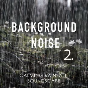 Background Noise: Calming Rainfall Soundscape 2 album cover