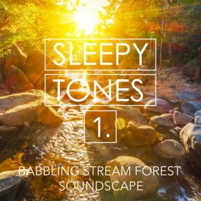 Sleepy Tones: Babbling Stream Forest Soundscape album cover