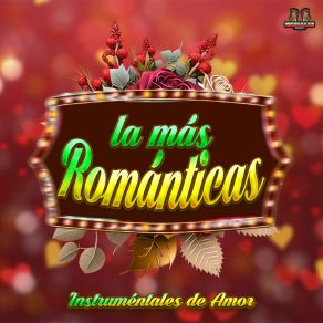 Instrumentales De Amor album cover
