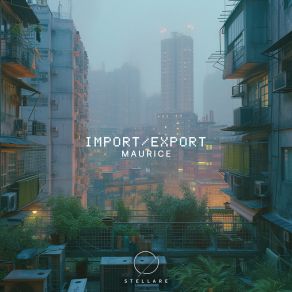 Import / Export album cover