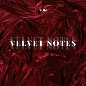 Velvet Notes album cover