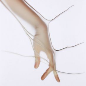 Hedonic Setpoint III album cover