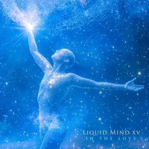 Liquid Mind XV: In The Love album cover