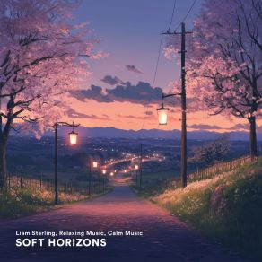 Soft Horizons album cover