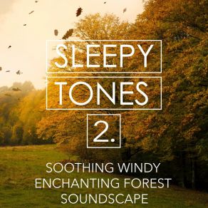 Sleepy Tones: Soothing Windy Enchanting Forest Soundscape 2 album cover