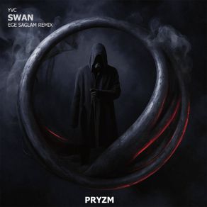 Swan album cover