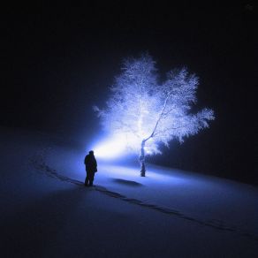 Alone album cover