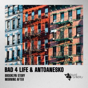 Brooklyn Story album cover