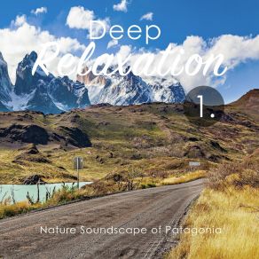 Deep Relaxation: Nature Soundscape Of Patagonia album cover