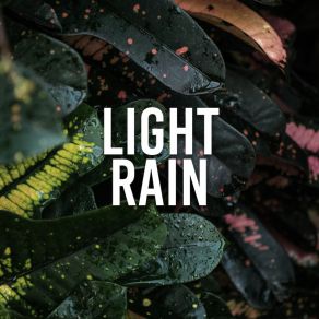 Light Rain album cover