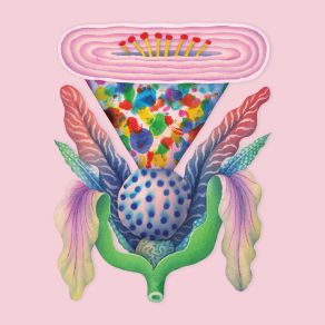 Fool's Spring album cover
