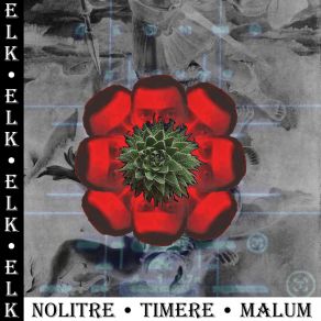 Nolitre Timere Malum album cover