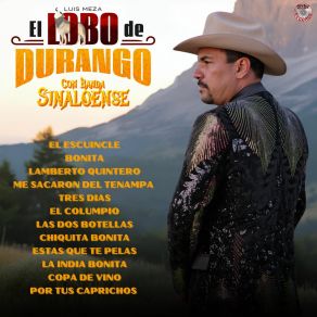 Con Banda Sinaloense album cover