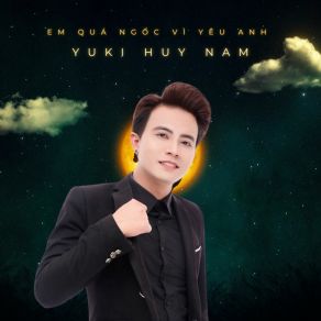 Em Quá Ngốc Vì Yêu Anh album cover