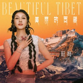 美丽的西藏 album cover