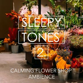 Sleepy Tones: Calming Flower Shop Ambience 2 album cover