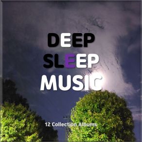 12 White Noise For Sleeping + Debussy Clair De Lune (Sleep Classical Music Lullaby) album cover