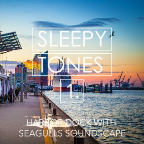 Sleepy Tones: Harbor Dock With Seagulls Soundscape album cover