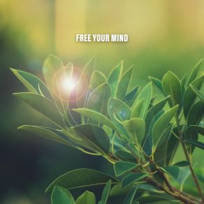 Free Your Mind album cover