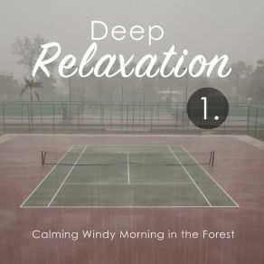 Deep Relaxation: Heavy Rain Tranquility album cover
