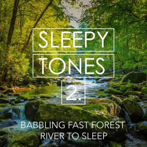 Sleepy Tones: Babbling Fast Forest River To Sleep 2 album cover