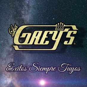 Exitos Siempre Tuyos (Cover) album cover