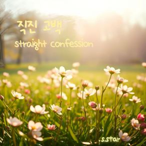 Straight Confession album cover