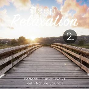 Deep Relaxation: Peaceful Sunset Walks With Nature Sounds 2 album cover